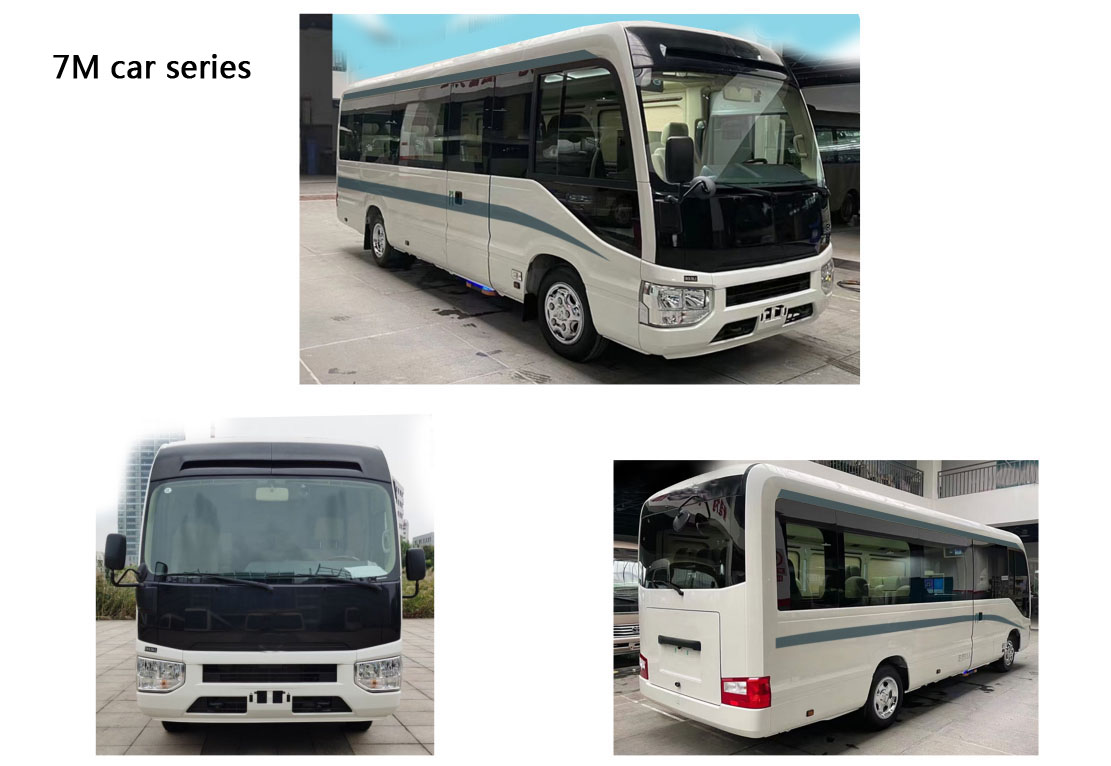 Pure electric 300 business bus